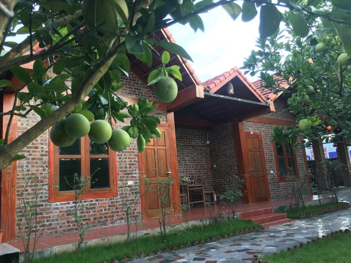Tam Coc Thanh Dat Homestay Ninh Binh Exteriér fotografie
