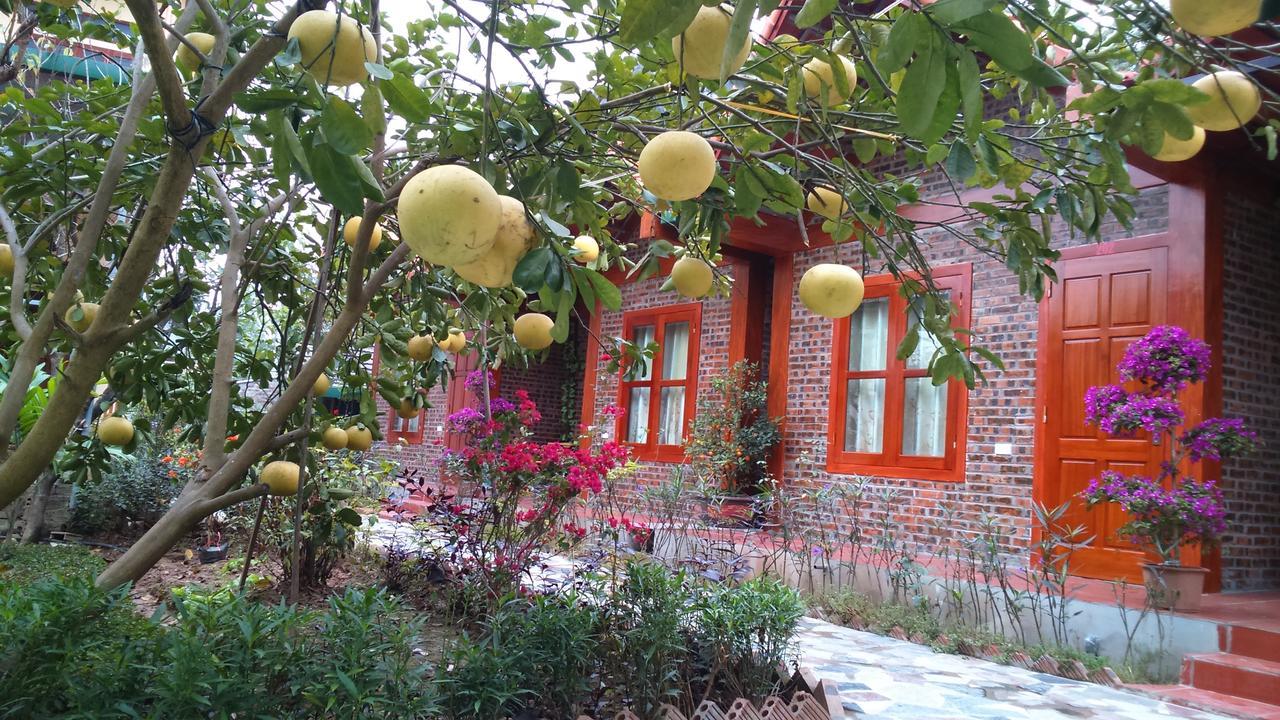Tam Coc Thanh Dat Homestay Ninh Binh Exteriér fotografie