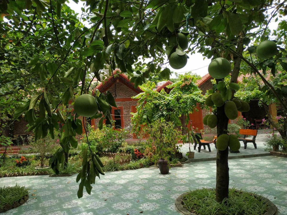 Tam Coc Thanh Dat Homestay Ninh Binh Exteriér fotografie