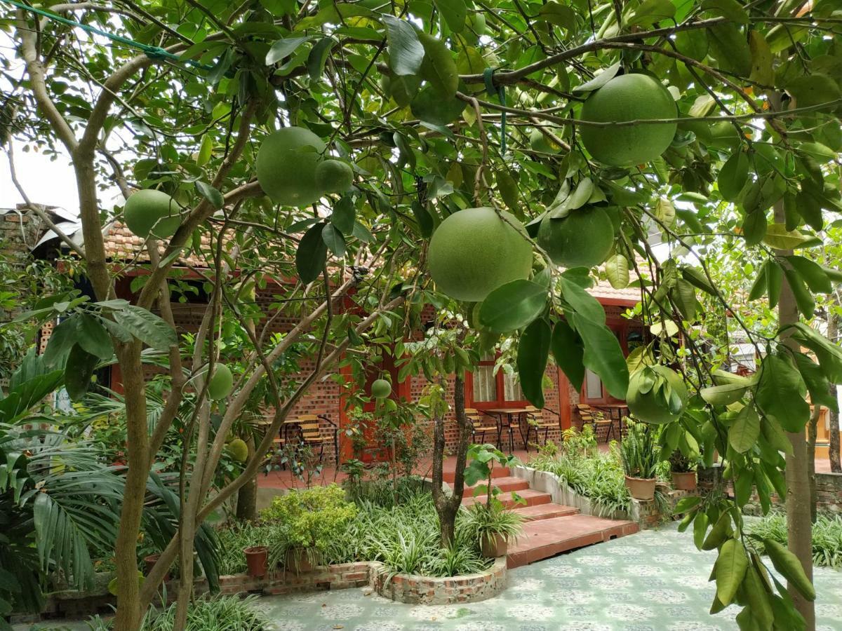 Tam Coc Thanh Dat Homestay Ninh Binh Exteriér fotografie