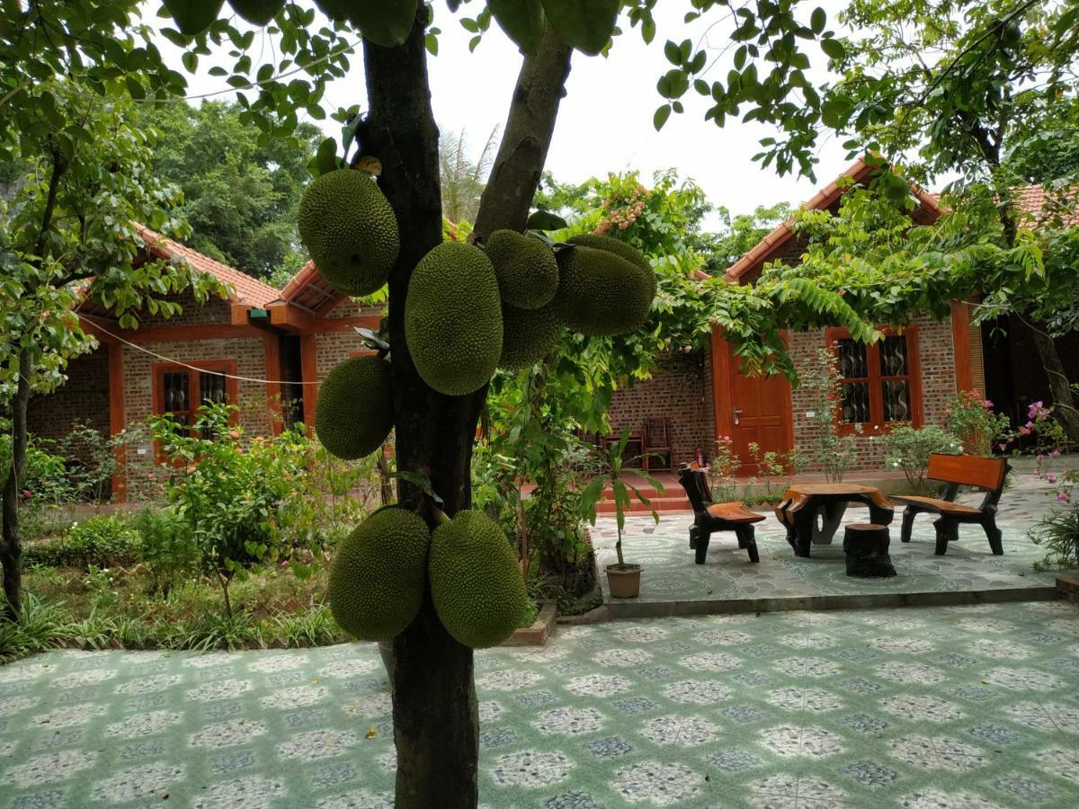 Tam Coc Thanh Dat Homestay Ninh Binh Exteriér fotografie